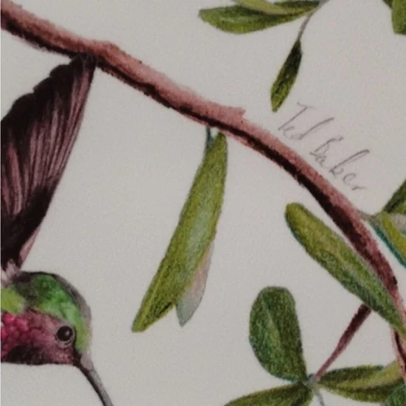 Ted Baker Evrely midi dress It’s Spring! Hummingbirds! Midi Dress Sz 4 = USA 10 - Picture 11 of 14